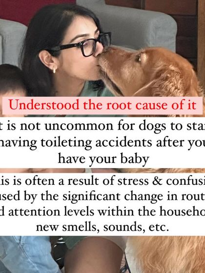 Nitika Ahlawat - Dog and Child Safety & Integration Our Family Album photo 19