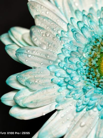 Brand Storytelling photo 9