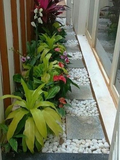 A narrow side yard transformed into a beautiful garden path. We used stone pavers and white pebbles to create a clean walkway, flanked by colorful plants and a slatted wooden wall, proving no space is too small for great design.