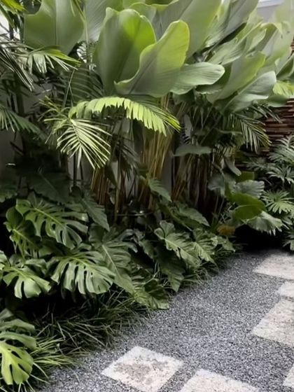 A close up of a tropical softscape design. We layered large-leafed plants like Monstera with gravel ground cover and stone pavers to create a rich, textured, and low maintenance garden corner.