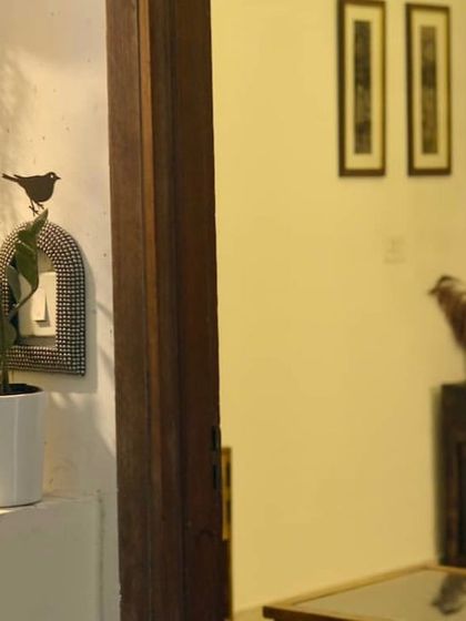 A Look Inside Your Private Space photo 10