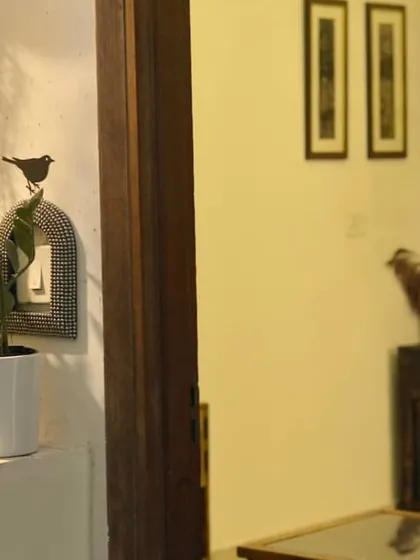 A view from the doorway showing the warm lighting and green plants that make the apartment feel like a home.