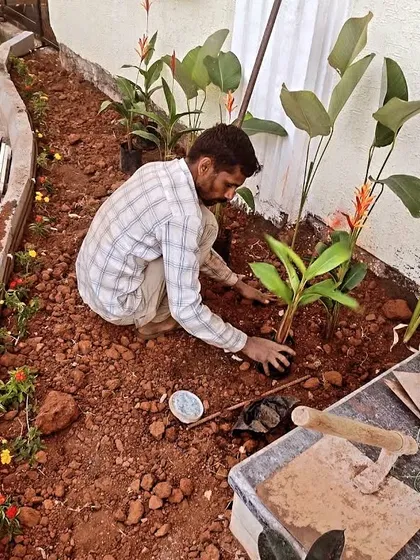 Creating a new flower bed from scratch. This is the hands-on work of preparing the soil and carefully placing each plant to ensure it has the best start for healthy growth and vibrant blooms.