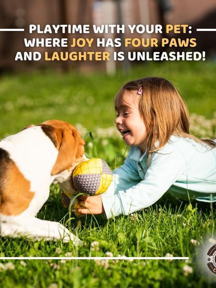 Playtime is where joy has four paws and laughter is unleashed. We believe in the power of play to create happy, healthy pets and strengthen the bond they share with their human families.