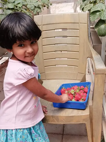 This is why I do what I do. It's a wonderful hands-on learning experience, and seeing our youngest farmer so excited to harvest her own strawberries makes it all worthwhile.