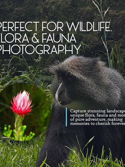 International Expeditions: The Seven Summits & Beyond photo 22