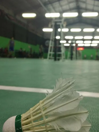 A shuttle's-eye view of the court. Ready for the next serve.
