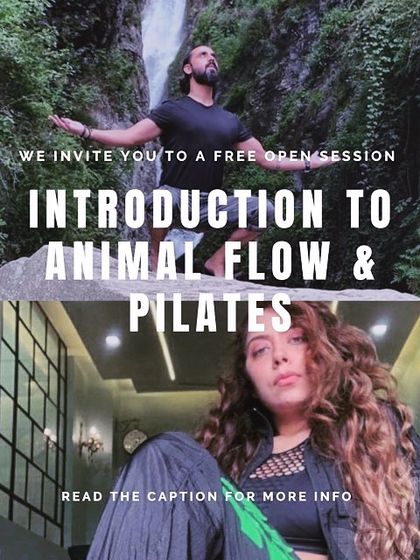 We are hosting a free open session to introduce you to Animal Flow and Pilates. Learn how these practices can help with weight loss, strength, flexibility, and mobility.