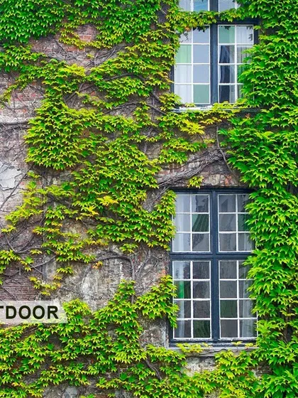 Outdoor vertical gardens can transform the entire facade of a building. This image shows how creepers and climbing plants can turn a plain brick wall into a lush, green surface, blending the structure with nature.