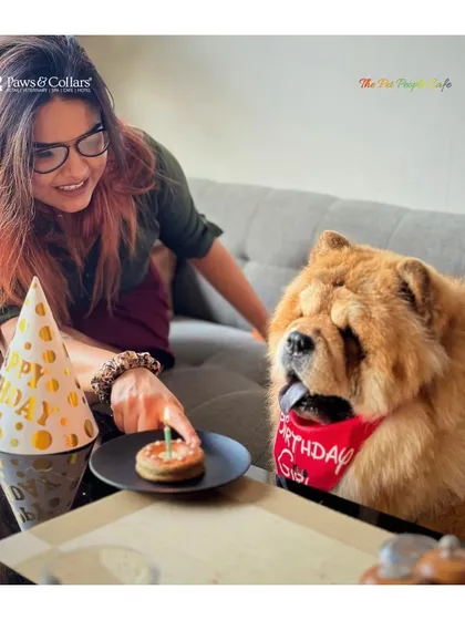 Every milestone deserves a celebration. We specialize in creating unforgettable birthday parties for your pets, complete with vet-approved pup-cakes and a festive atmosphere, making their special day truly magical.