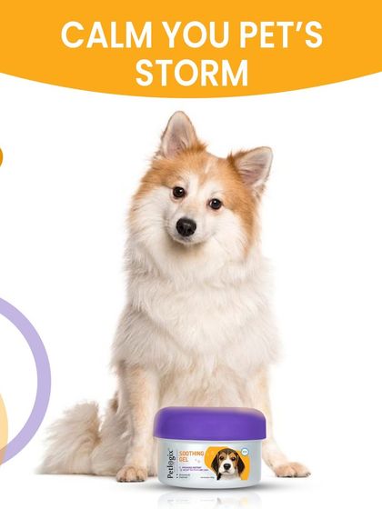 My Soothing Gel is designed to calm your pet's storm, whether it's from skin irritation, dryness, or anxiety. It provides instant, gentle relief for their skin.