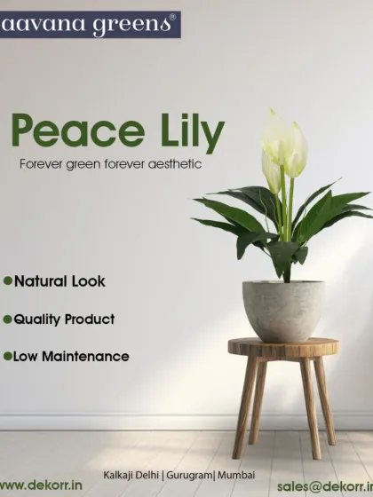 Bring home serenity with our artificial Peace Lily. It's forever green and forever aesthetic, offering a natural look with premium quality and no maintenance.