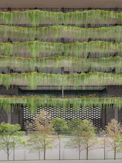 The facade of the proposed MCA Clubhouse accommodation block features undulating balconies draped in greenery. This design provides each room with a private, shaded terrace while creating a living, breathing exterior that connects the building to the landscape.
