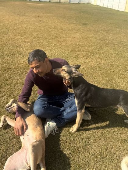 A gentle nuzzle from a happy dog is the best thank you we can receive. We build real, loving bonds with our guests.