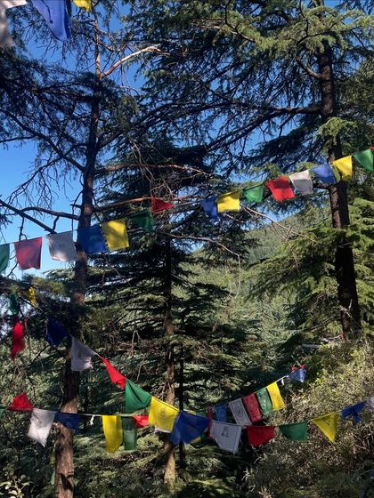 Himalayan & Nature Retreats photo 10