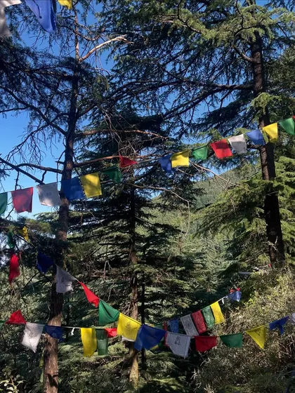 The vibrant prayer flags of the Himalayas are a beautiful symbol of peace and compassion. They represent the spiritual and calming energy we cultivate during our time away.