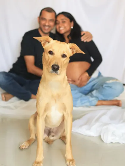 Look at this handsome boy stealing the show! I believe every dog deserves to be in the family portrait, and this sweet indie doggo was the perfect model. He sat so proudly while his loving parents snuggled in the background.