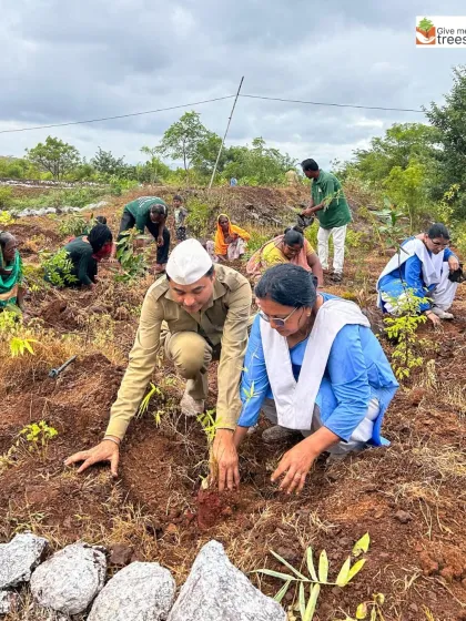 Members of the Sant Nirankari community and forest officials plant saplings side-by-side. This collaboration between citizens and government is key to successful conservation.