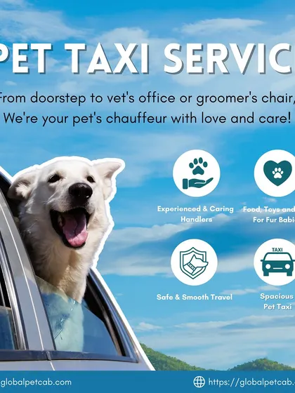 Our local pet taxi service is designed for your peace of mind and your pet's comfort. We provide experienced handlers, spacious and safe vehicles, and all the essentials like food and toys to make short trips for vet visits or grooming completely stress-free.