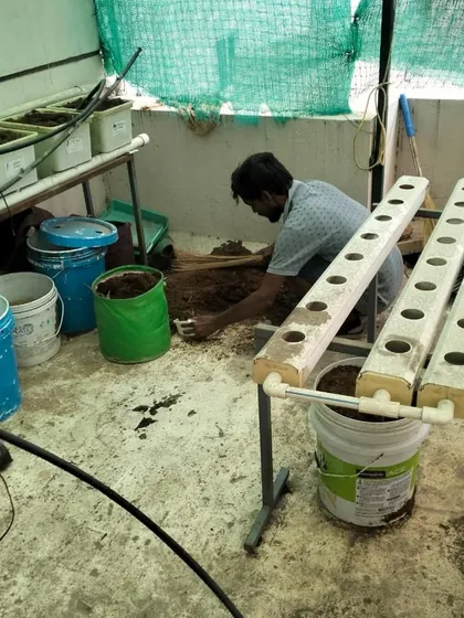 Our team member is seen preparing a hydroponic setup. This is part of our deep cleaning and maintenance service, where we handle specialized systems to ensure your garden remains productive.