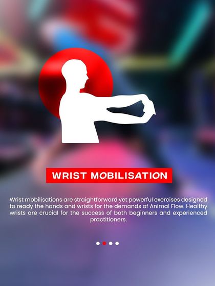 BlackBx - Active Recovery & Mobility Animal Flow: Primal Movement photo 6