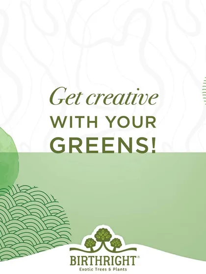 Get creative with your greens. I encourage upcycling and DIY projects to give your plants a home with personality.