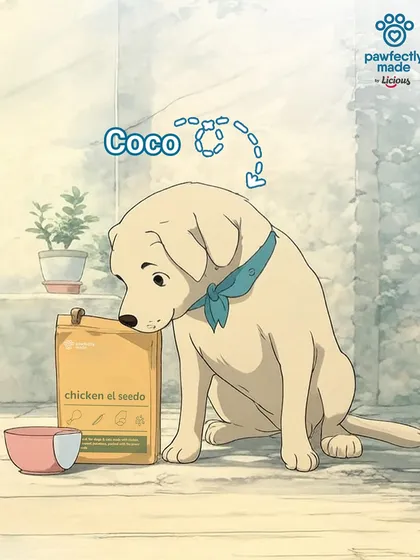 Meet Coco, looking thoughtful and serene in this beautiful Ghibli-style illustration.