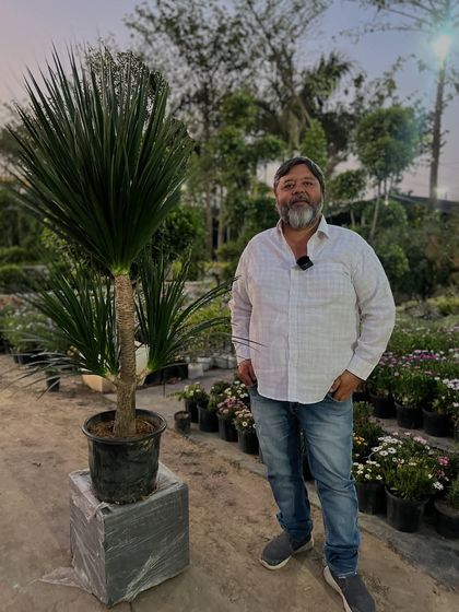 Indoor & Air-Purifying Plants (Ghar Ke Andar Ke Paudhe) photo 45