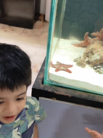 A gallery from our day at the aquarium. The children's faces light up with wonder as they observe the magic of underwater life, from colorful fish to starfish.