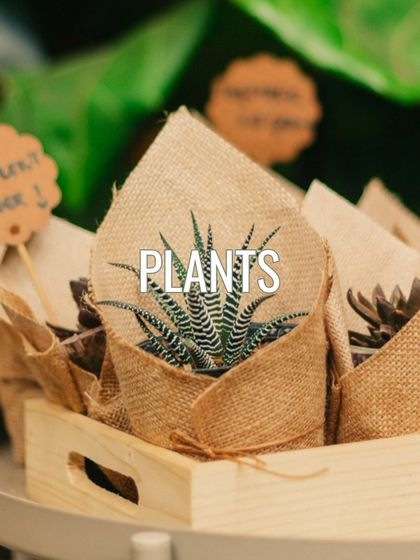 Plants make a wonderful, lasting gift. We offer small, beautifully wrapped succulents that are perfect for adding a touch of green to any home or office.