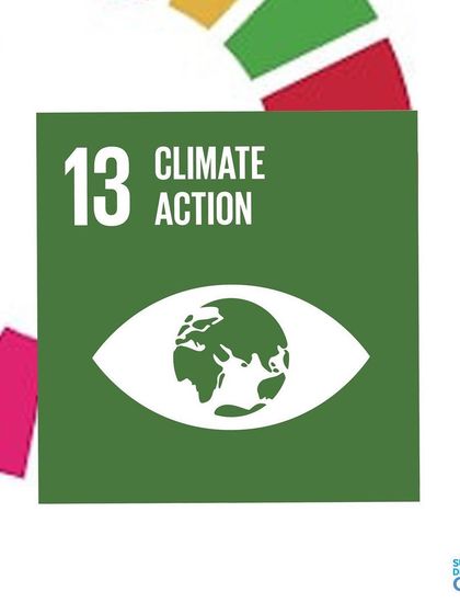 Climate Action (SDG 13) is central to my mission. By helping industries reduce their greenhouse gas emissions through fuel conversion and efficiency measures, I am proud to contribute directly to this critical global goal.