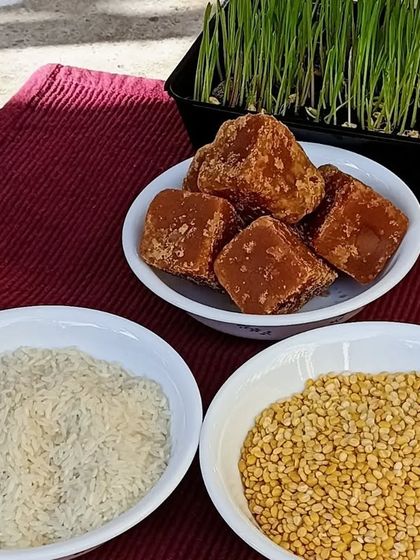 Tiny Mustards - Montessori Preschool Program Celebrating Our Culture & Festivals photo 10