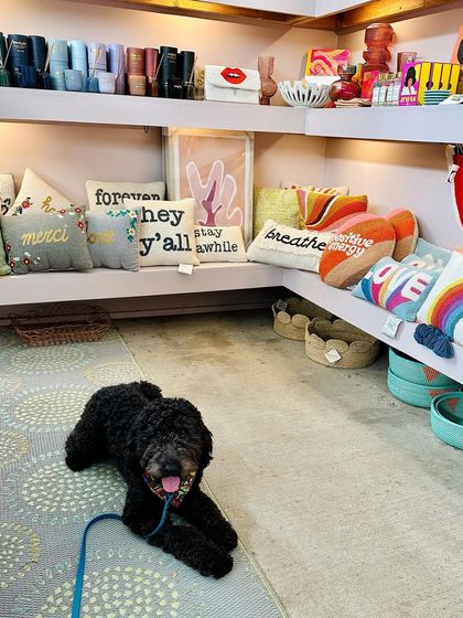 Tulsa Dog Trainer - Immersive Board & Train Programs Board & Train Graduates photo 128