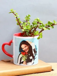 Plant Gifting