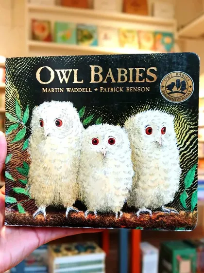 'Owl Babies' is a gentle and reassuring story, perfect for reading at bedtime. The beautiful illustrations and simple text make it a toddler favorite.