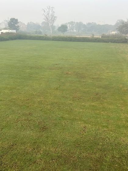 A wide, foggy morning view of one of my grass fields in New Delhi. This is the fresh, natural environment where I grow my turf.