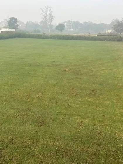A wide, foggy morning view of one of my grass fields in New Delhi. This is the fresh, natural environment where I grow my turf.