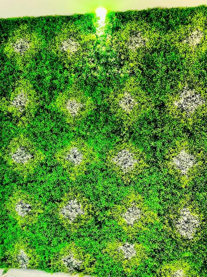 This custom panel features a diamond pattern created by using different shades and textures of green moss. It's a subtle yet sophisticated design that adds visual interest to a standard green wall.