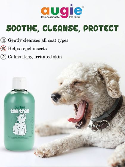 Augie Pets - Pet Supplies Spa Day at Home: Gentle Grooming Essentials photo 40