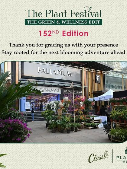 The Festival Vibe: A Celebration of Nature photo 6