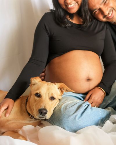 Pet-Inclusive Maternity Photography