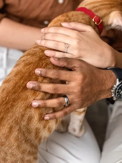 A detailed shot focusing on the hands of the engaged couple as they gently pet their orange cat, Toffee. The engagement ring is subtly featured, making this a warm, intimate photo.