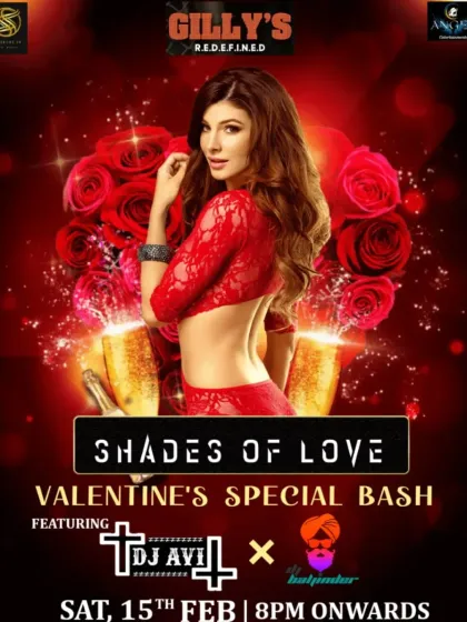 A poster for a special Valentine's Day event where I collaborated with another DJ. I am experienced in playing for themed parties and special occasions.