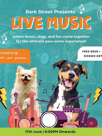 Bark Street presents live music, where music, dogs, and fun come together for the ultimate experience.