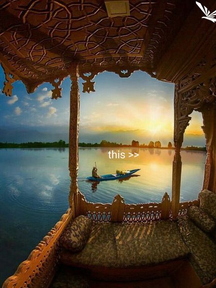 The Travel Bug: Memes & Motivation photo 35