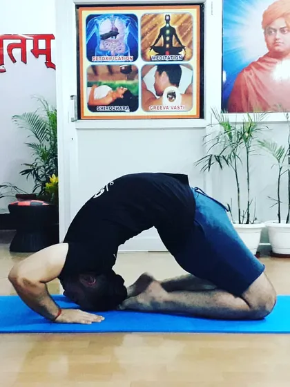 A student in a deep expression of Ushtrasana (Camel Pose). This backbend opens the entire front of the body and stimulates the nervous system, requiring both strength and surrender.