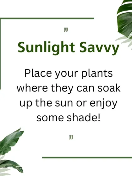A helpful garden care tip about the importance of understanding your plants' sunlight needs for them to thrive.