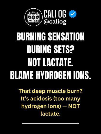 That burning sensation during a tough set? It's not lactate. Blame hydrogen ions. The deep muscle burn is from acidosis, not lactate.
