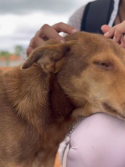 The Works - Weekend Adventure Treks The Vibe: Candid Moments photo 4