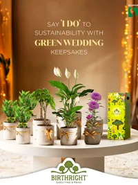 Curated Green Gifting